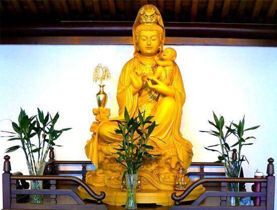 树下 同龄 2019年4月同龄圈 菩萨慈悲保佑我宝健康成长!