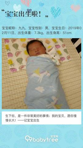 journal_insert_pic_1183022578