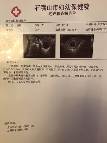 journal_insert_pic_1183169589