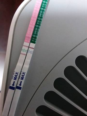 journal_insert_pic_1182825074