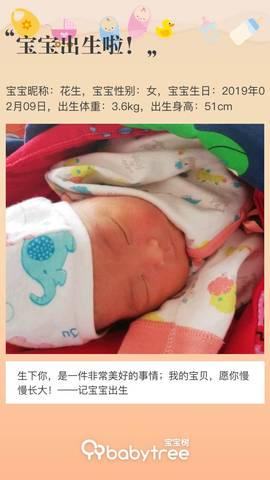 journal_insert_pic_1184414765