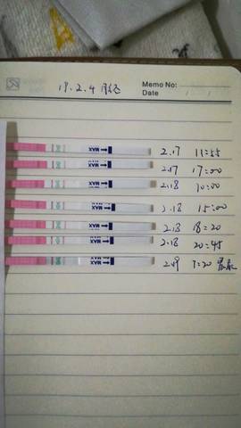 journal_insert_pic_1185727224