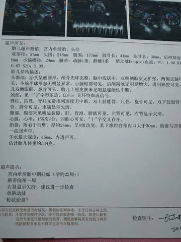 journal_insert_pic_1186457415
