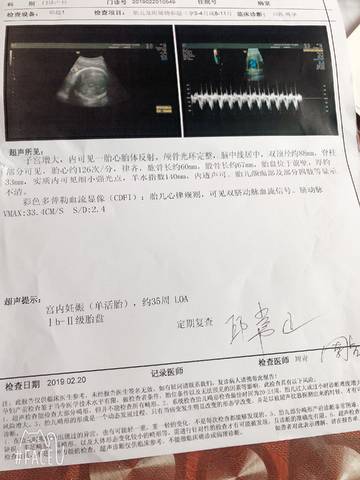 journal_insert_pic_1187688141