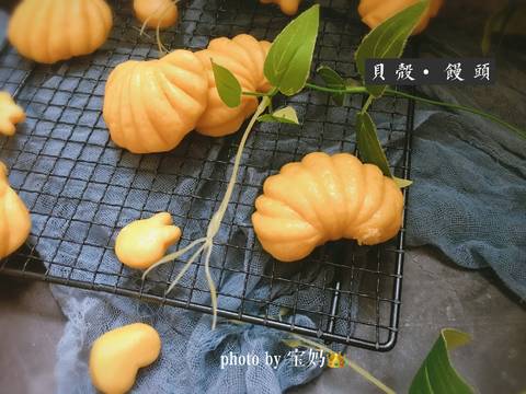journal_insert_pic_1188320490