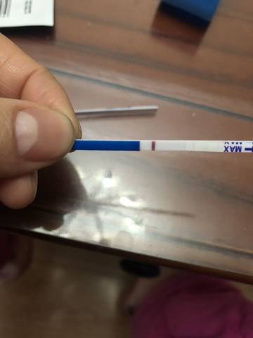 journal_insert_pic_1190079457
