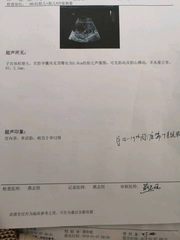 journal_insert_pic_1189745616