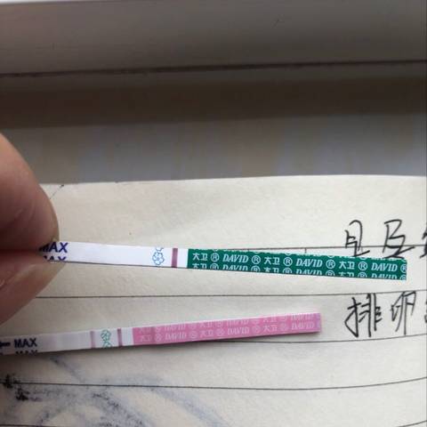 journal_insert_pic_1189771732