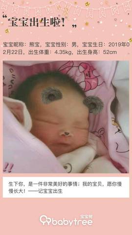 journal_insert_pic_1191127409