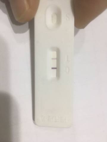 journal_insert_pic_1191002797