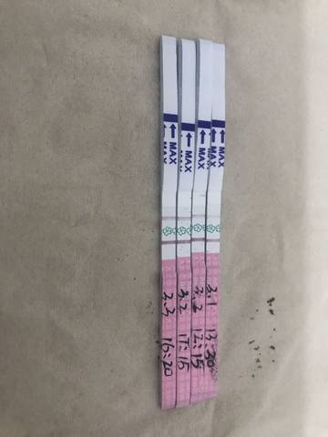 journal_insert_pic_1192231210