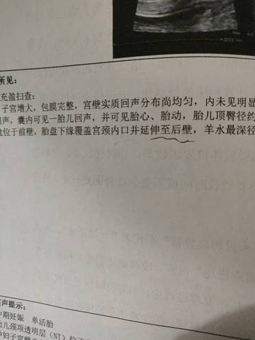 journal_insert_pic_1192243085