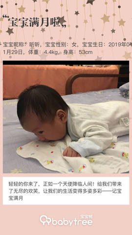 journal_insert_pic_1192826750