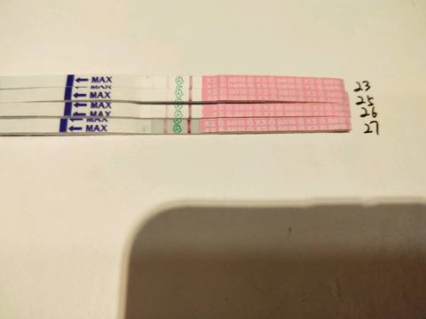 journal_insert_pic_1192624413