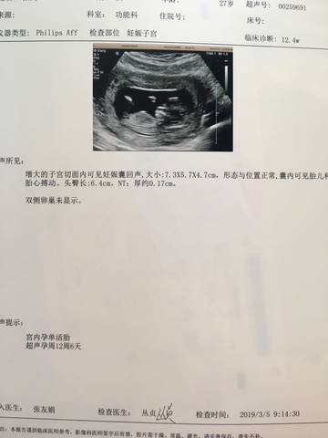 journal_insert_pic_1193866527