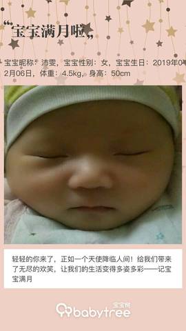 journal_insert_pic_1193645089