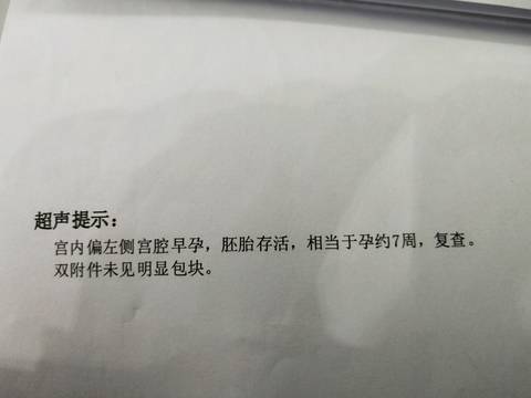 journal_insert_pic_1194937512