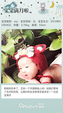 journal_insert_pic_1195347078