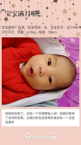 journal_insert_pic_1195580493