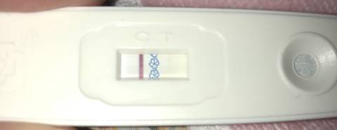 journal_insert_pic_1195811316
