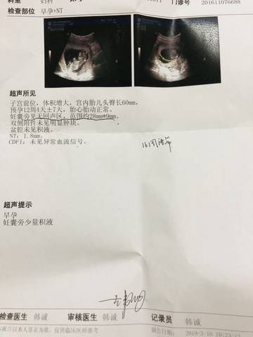 journal_insert_pic_1196388562