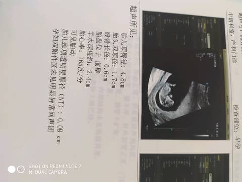 journal_insert_pic_1196845247