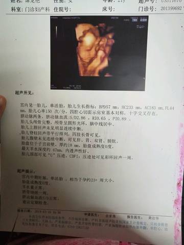 journal_insert_pic_1197066322