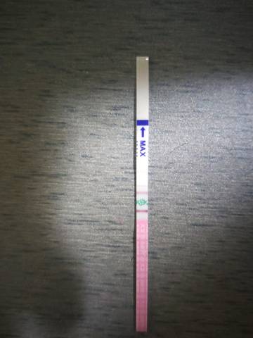 journal_insert_pic_1198451761