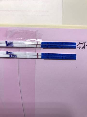 journal_insert_pic_1201280142