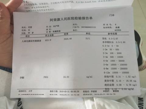 journal_insert_pic_1202139317