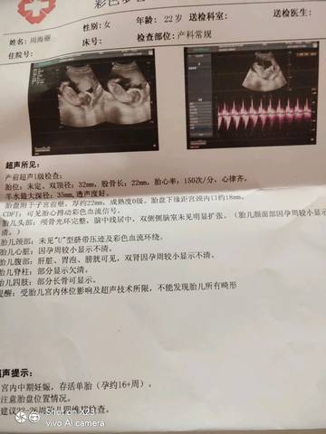 journal_insert_pic_1202122691