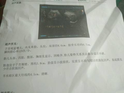 journal_insert_pic_1202789588