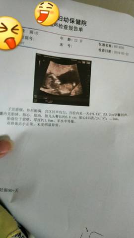journal_insert_pic_1202722372