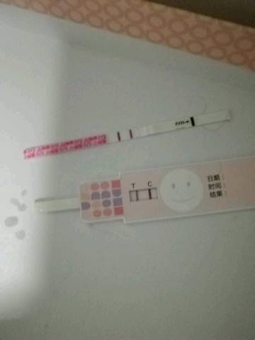 journal_insert_pic_1203518734