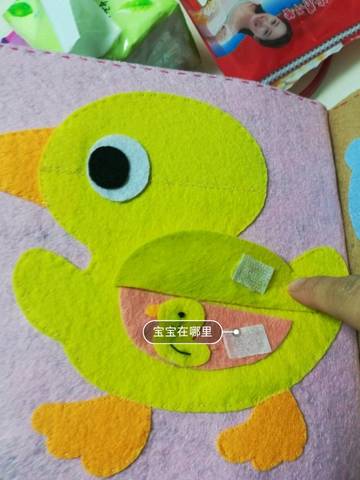 journal_insert_pic_1203469836