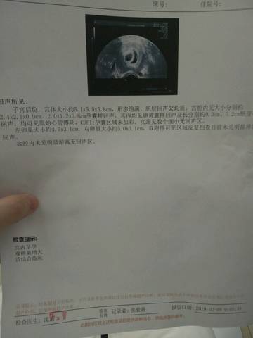 journal_insert_pic_1203541659