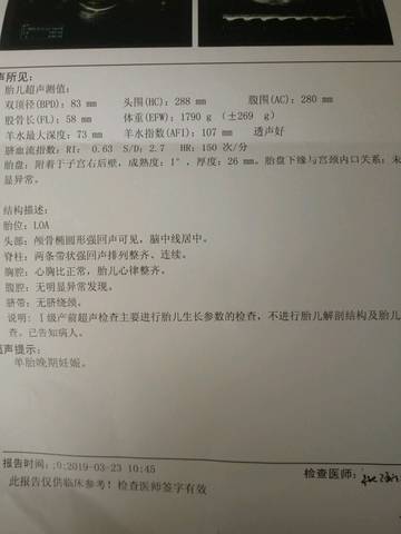 journal_insert_pic_1203174059