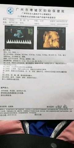journal_insert_pic_1203767353