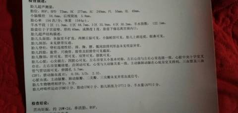 journal_insert_pic_1203913099