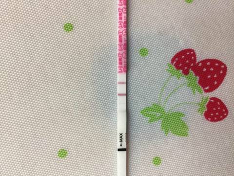 journal_insert_pic_1203822842