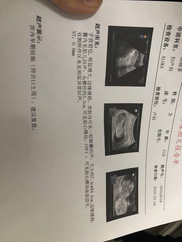 journal_insert_pic_1203714771