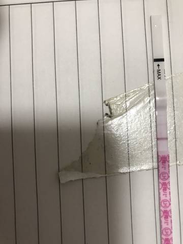 journal_insert_pic_1204569198