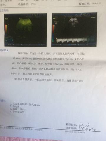 journal_insert_pic_1204562221