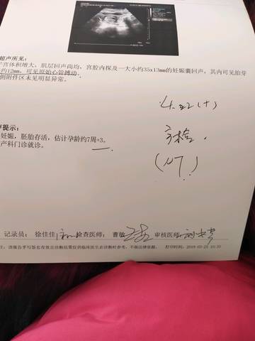 journal_insert_pic_1204326052