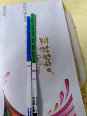 journal_insert_pic_1204774316