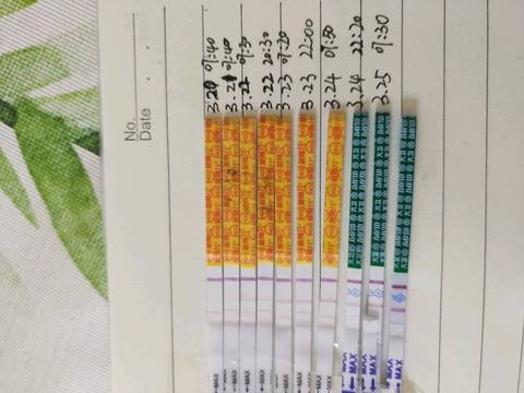 journal_insert_pic_1204802671