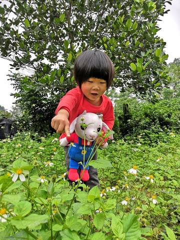 journal_insert_pic_1204891479