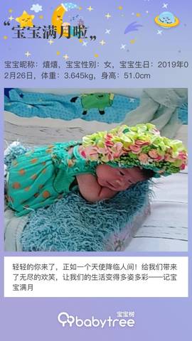 journal_insert_pic_1205805119