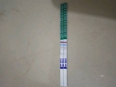 journal_insert_pic_1205343195