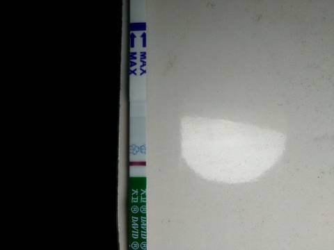 journal_insert_pic_1205335202